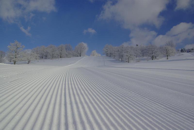 十和田湖温泉スキー場 - kingdom of winter trip TOHOKU WINTER PLAY - JAPAN TOHOKU
